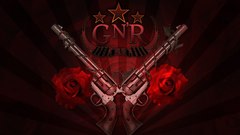 GNR widehires heres some