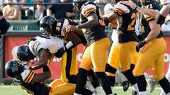 Go ticats high