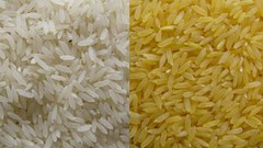 Gold love silver rice