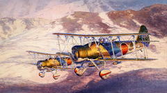 Golden plains crafts Aircraft