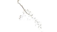 Gonna dump some fuckin