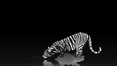 Good inverted looks high too Resolution stillwaters