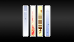 Gradient simple minimalistic design