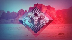 Gradient skulls Indie artwork deserts