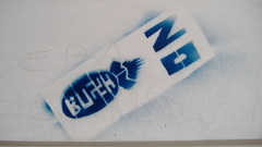 Graffiti Anti bush rosario