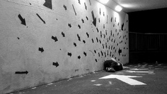 graffiti urban wall City monochrome arrows (design)