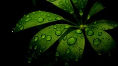 Graph Photo manipulation