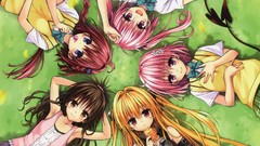 Grass anime girls seifuku yuuki mikan lying down to-love-ru 