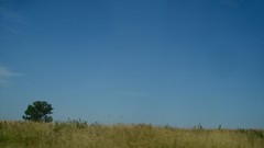 Grass blue Green roads Voyager skies laeirbag