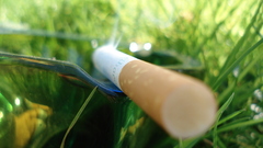 Grass Cigarettes marlboro nature