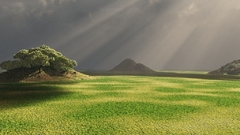 Grass fields request odd have fairly