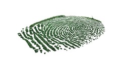 Grass fingerprints