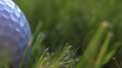 Grass golf balls multiscreen