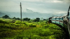 Grass Green railway trains idevil17