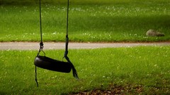 Grass Green swings tire swing viewscape