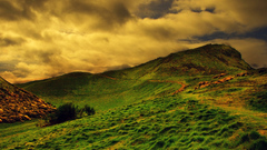 Grass hills interfacelift Green