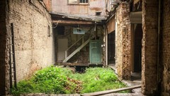 Grass houses backyard abandoned house