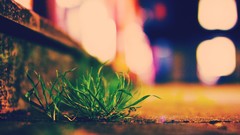 Grass lights sidewalk sidewalks cities