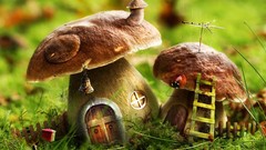 Grass mushrooms door houses fences artwork stairways artistic 