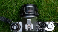 Grass Objects Cameras pentax