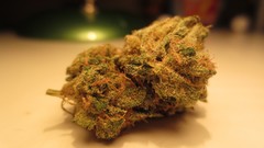 Grass pot Weeds marijuana hashish