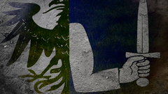 Grass shadow brightflag high