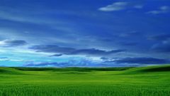 Grassy anyone Got an