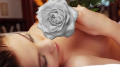 Graue rose layman flower