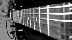 Grayscale guitars Fender Stratocaster