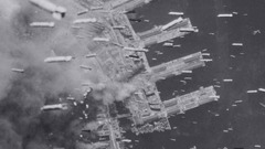 Grayscale monochrome historic carpet