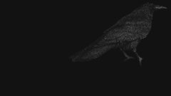 Grayscale monochrome Ravens Birds