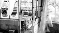 Grayscale old buildings