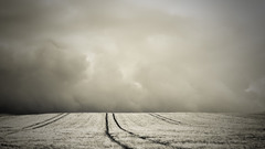 Grayscale plains skyscapes