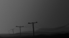 Grayscale power lines