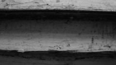 Grayscale Wood decay