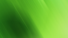 Green abstract