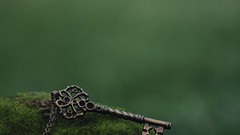 Green abstract keys chosen