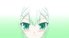 Green baka to test