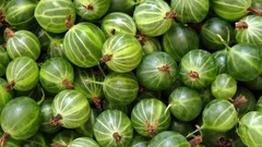 Green Berries grapes gooseberries