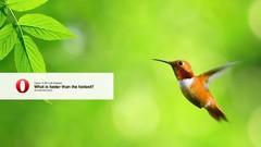 Green Birds Opera web