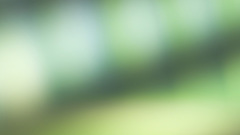 Green blured backround