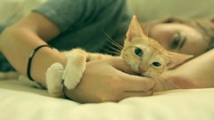 Green cats bite beds blurred shirts bracelets depth of field 