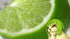 Green cats limes tennis