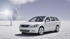 Green concept art line