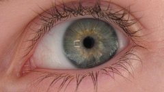 Green eye occhio auge