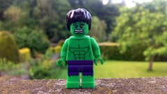 Green Garden ipad The Avengers Legos Hulk (comic character) 