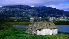 Green grass and House
