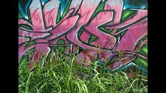 Green grass graffiti urban