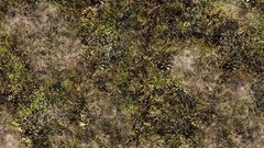 Green grass Textures plains