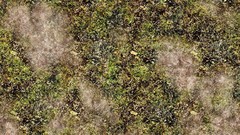 Green grass Textures plains